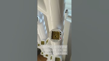 Day 5 using Gardyn 3.0 indoor hydroponic vertical farm