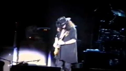 Greg Martin, Randall Hall, and Gary Rossington - L...