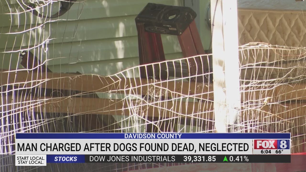 Man accused of killing 2 dogs, facing 16 animal cruelty charges in ...