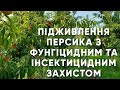 Підживлення персика з інсектицидним і фунгіцидним захистом за допомогою препаратів ENZIM Biotech