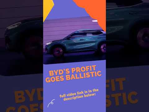 BYD's profit goes