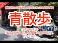 代官山の名店HOLLYWOOD RANCH MARKETへ行ってみた
