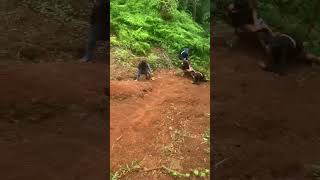 Friends Hilariously Slide Down Steep Dirt Hill