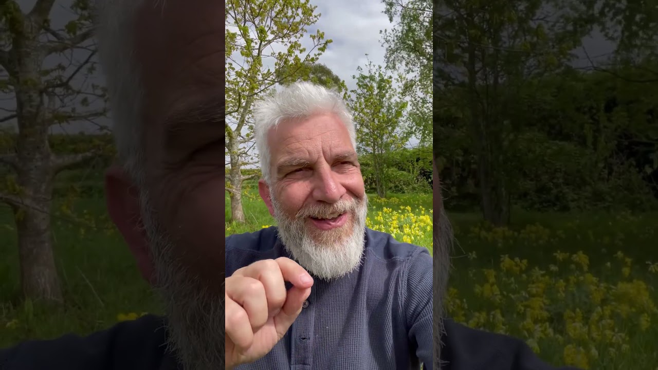 One qigong practice for life?