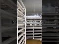 Fruit Heat Pump Dryer Strawberry Dehydrator Mulberry Drying Machine