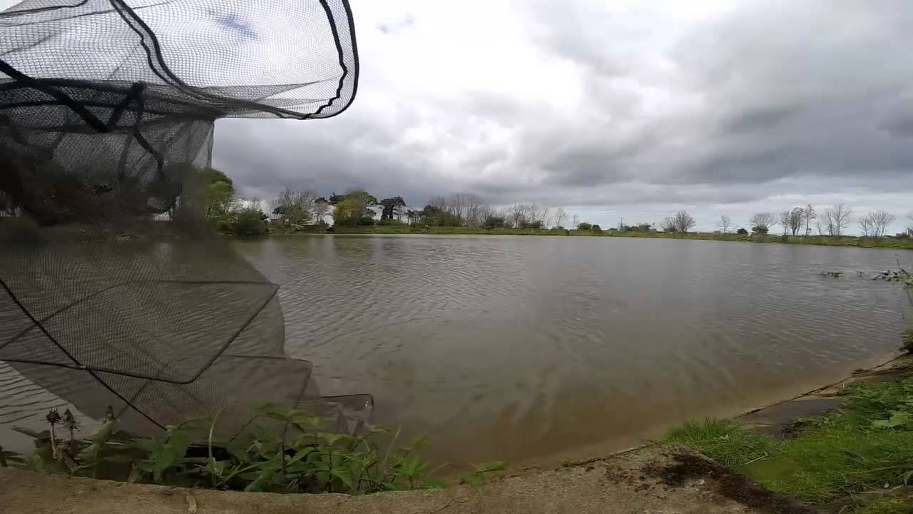 Plenty of Skimmers Feeder Fishing YouTube