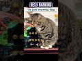 This cat's reaction scared me 🤣🤣#funnycats #tiktokcats #catlove #trending #funny #fyp #foryou