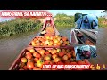 Buhay Bukid - Katas ng Kamatis (Yamada 18HP + 2nd Hand Bangka - Day 48) | Macki Moto