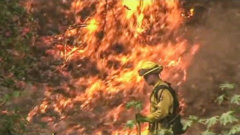Fast-Moving Wildfire Outside Willits Forces Evacuations, Closes Hwy 101