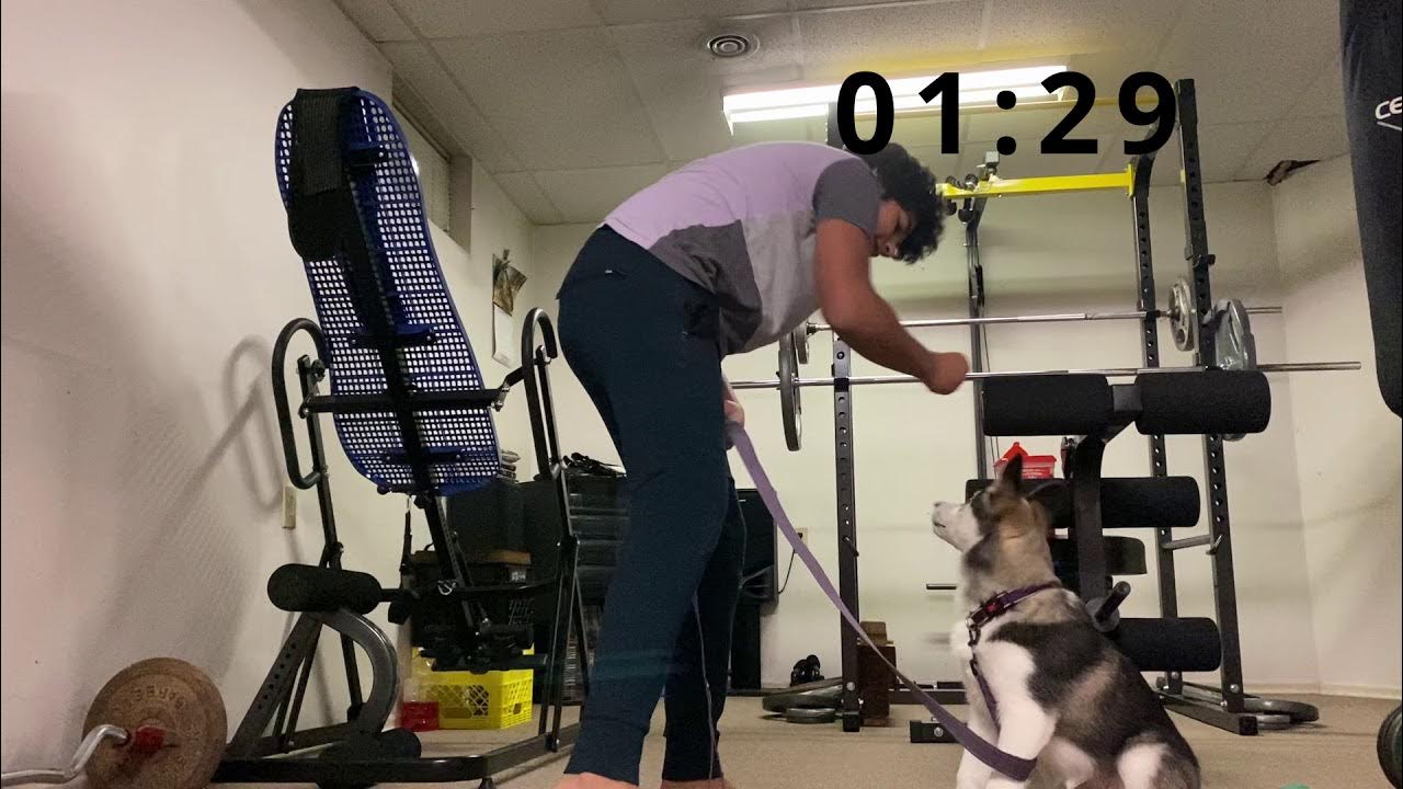 guidance on how to make a dog sit YouTube