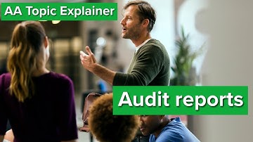 AA Topic Explainer: Auditors report