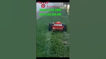Robot dọn cỏ cấp tốc #shorts #vinmax