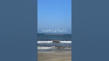 #القرآن_الكريم #اكسبلور #المصحف #بسم_الله_الرحمن_الرحيم #راحة_نفسية #سورة_البقرة #لايك #حالات_واتس