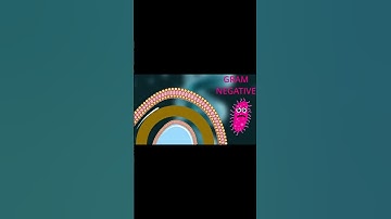 Gram Negative Bacteria