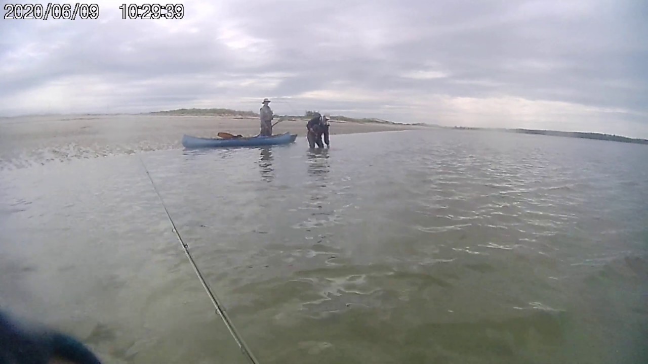 Dick's nice 24 inch fish caught trolling in the Grand Canyon area at ...
