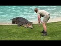 The Famous Croc Show At Australia Zoo Ft Robert Irwin And Scrappa