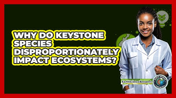 Why Do Keystone Species Disproportionately Impact Ecosystems? - Earth Science Answers