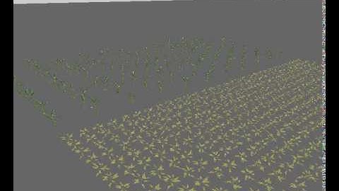 intercropping model (two species)