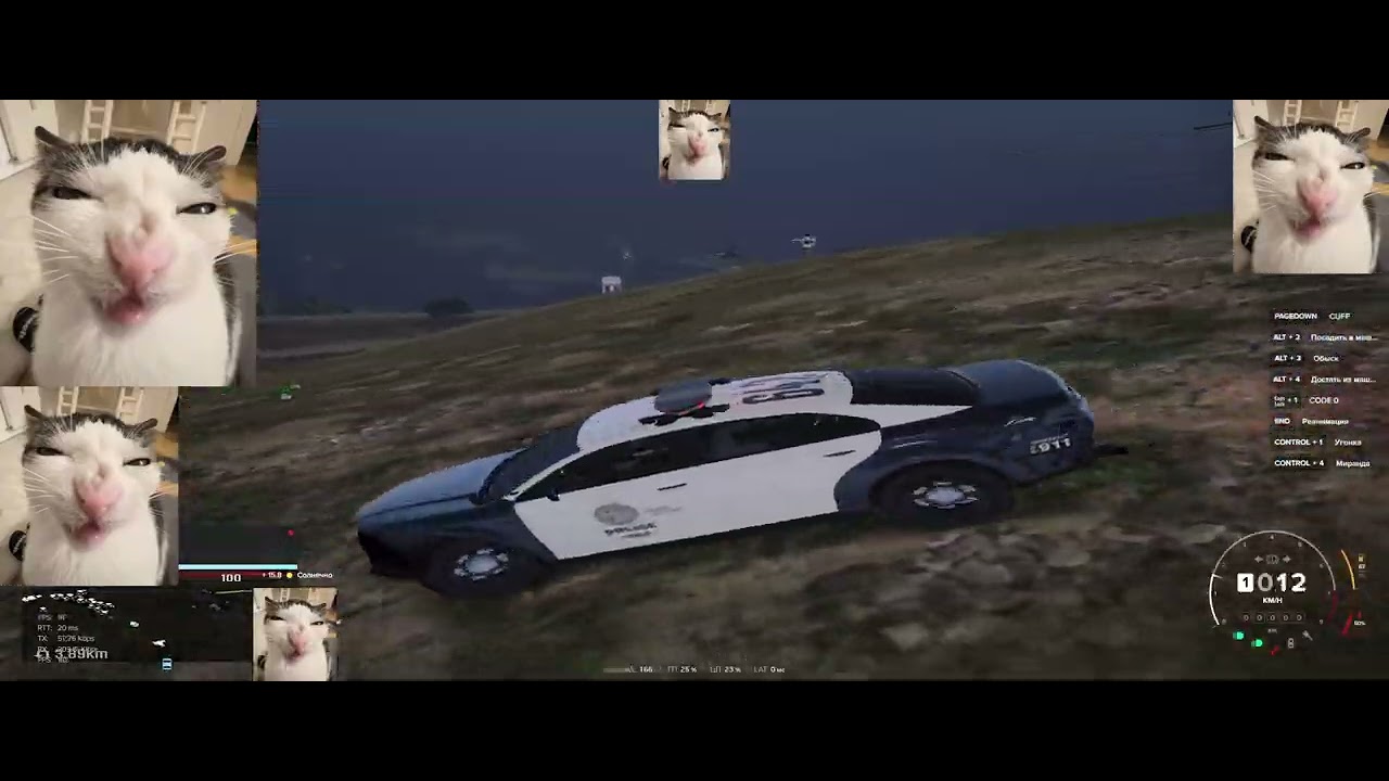 Залетел на мадж и как всегда все упали