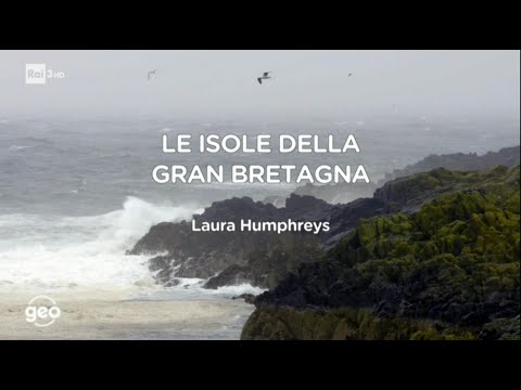 Video: Animali della Gran Bretagna. Flora e fauna della Gran Bretagna