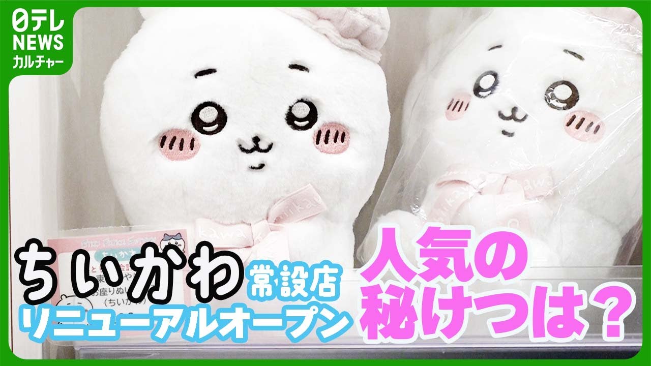 Chiikawa Land TOKYO Station: Entry restricted to lottery winners