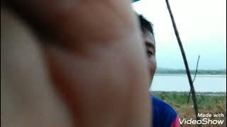 suara pikat belibis kembang