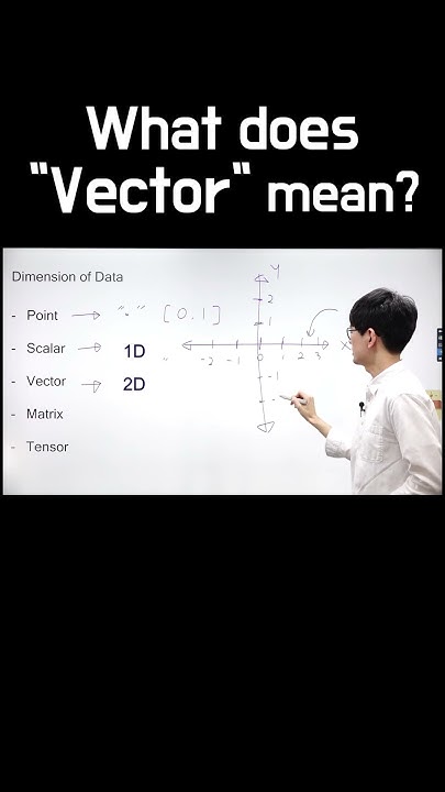 what-does-vector-mean-youtube