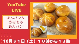 【ライブ１０時から】白神こだま酵母をつかった、アンパン、かぼちゃアンパンの作り方