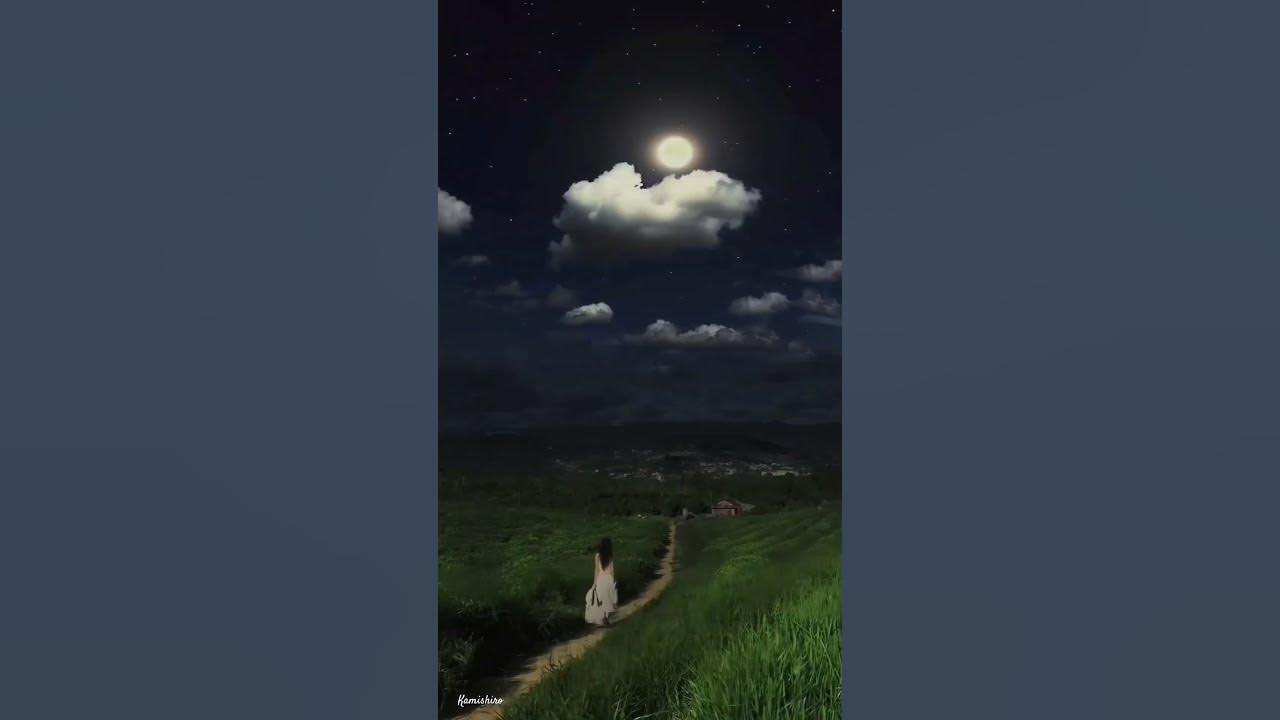 Indila - Love Story Slowed * Short & Lyric & Instrumental & Music