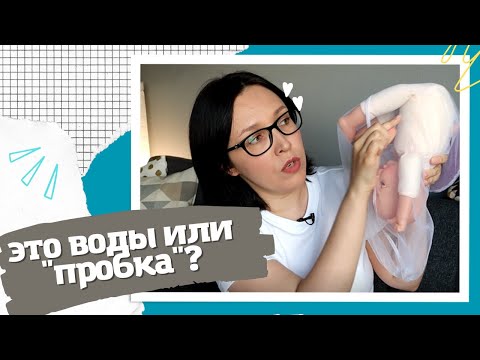 КАК отличить ПОДТЕКАНИЕ вод от СЛИЗИСТОЙ пробки. Что такое слизистая пробка?