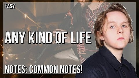 How to play Any Kind Of Life by Lewis Capaldi on Tin Whistle (Tutorial)