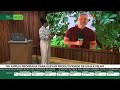 MS amplia programa para elevar produtividade de soja e milho