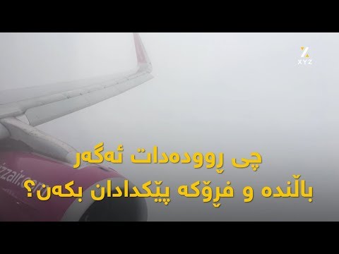 چی ڕوودەدات ئەگەر باڵندە و فڕۆکە پێکدادان بکەن