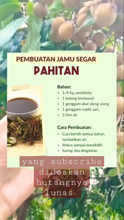 cara membuat jamu pahitan #shorts #youtubeshorts #resep #viral #trending #jamu