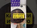 КАЛ БОШИ МУИ САР ЧАСПОНЕМ