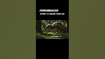 Witness the Animals You Have Never Seen Before Extinct Animals using AI #wildwonders #ai #youtube