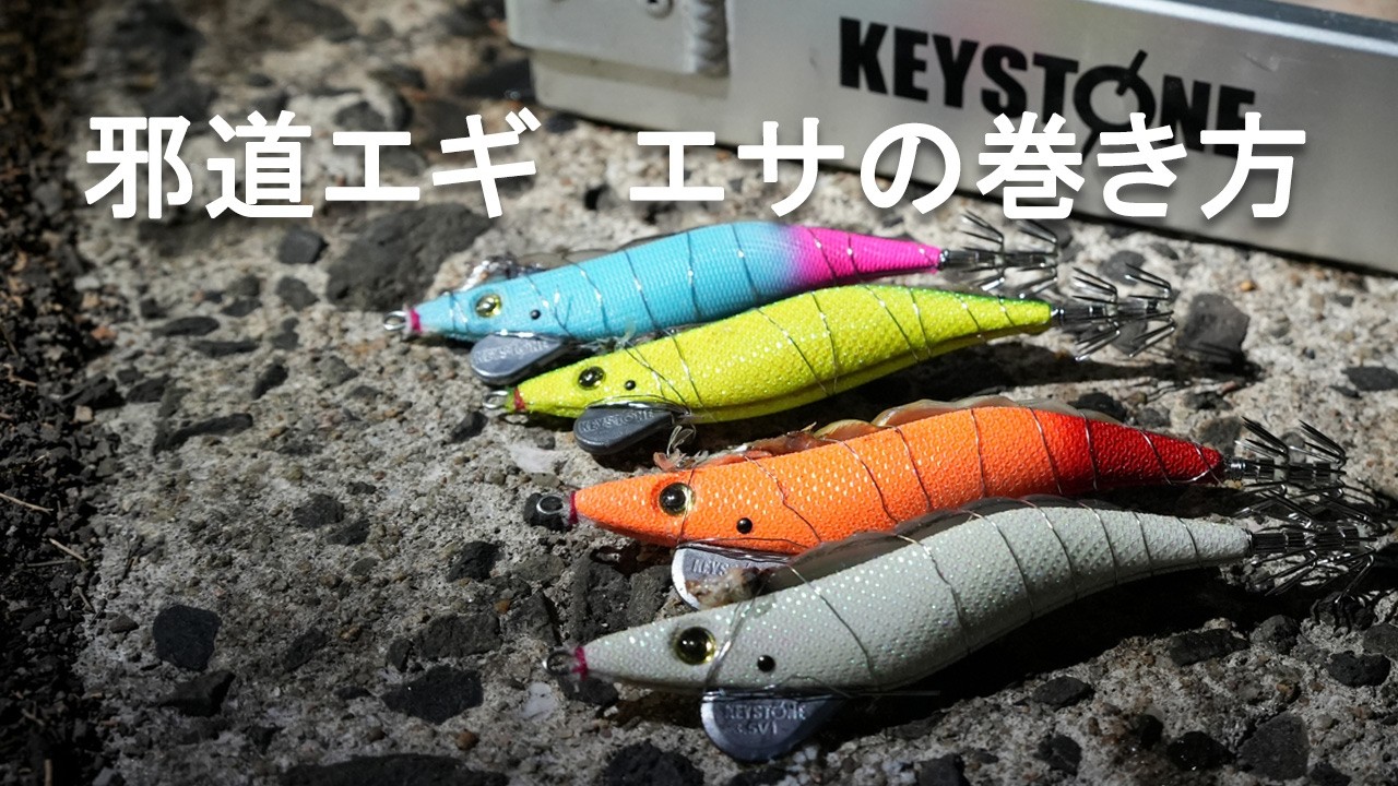 送料無料】邪道エギング お試しセット（5） – Keystone Direct Shop