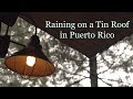 Relaxing Rain Sounds for Sleeping - Rain in Tin Roof with Coqui Frogs