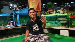 Apa Dan Bagaimana Itu Wahyu Panca Ghaib Dan Wahyu Panca Laku‼️