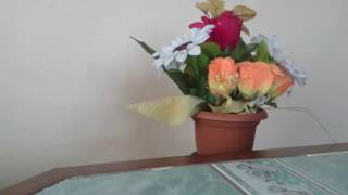 Şi̇i̇r Aşik Mahmut Özdemi̇r