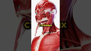 8 странных признаков дефицита магния в организме!
