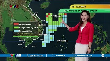 Dự báo thời tiết biển ngày 16/3/2023 | Ngư trường cá ngừ đại dương từ nay đến 23/3 | VTVWDB