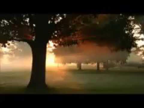 سورة طه القارئ الشيخ عبد الودود حنيف