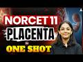 NORCET 11 Placenta One Shot 🔥 Complete Placenta Revision for Nursing Exams #NORCET11