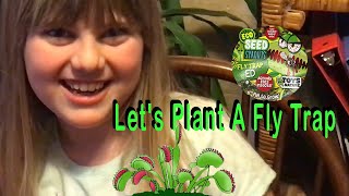 Let's Plant Fly Trap Seeds