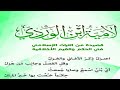 لامية ابن الوردي من أروع المنظومات لامية ابن الوردي من أروع المنظومات