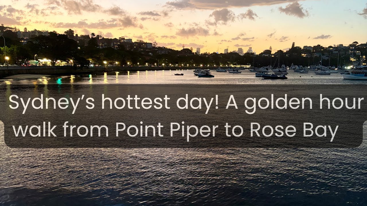 Sydney’s Hottest Day! ☀️ A Golden Hour Walk from Point Piper to Rose Bay