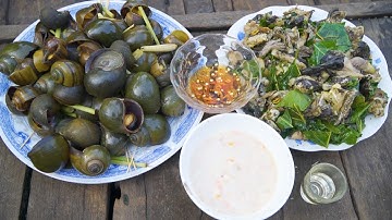 Ếch Đồng Xào Lá Cách, Món Ngon Ngày Mưa Đầu Mùa | Nét Quê #219