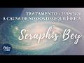 SERAPHIS BEY - A Causa de Nossos Desequilíbrios. 22-05-26.
