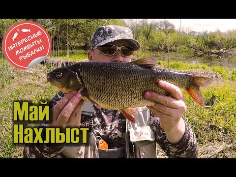 Ловля нахлыстом весной. Первые рыбалки. Начало сезона.